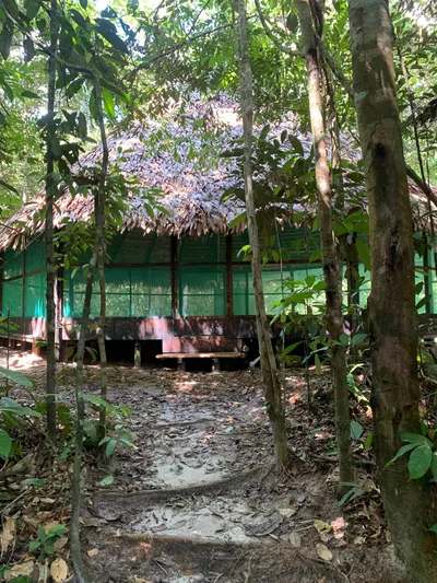 La maloca de Naturalia entre los árboles de la selva, Iquitos, Perú